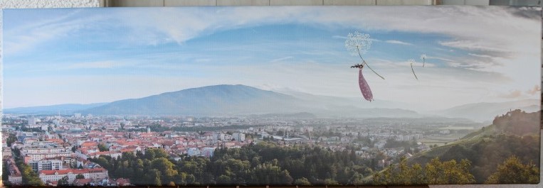 drejka.si